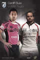 Cardiff Blues Ulster 2010 memorabilia